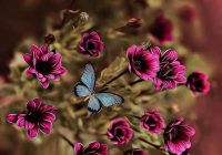 Risale Dersi 906: Kastamonu Lahikası 18 Risale Dersi 906: Kastamonu Lahikası 18