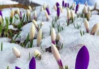 Risale Dersi 907: Kastamonu Lahikası 19 Risale Dersi 907: Kastamonu Lahikası 19