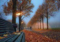 Risale Dersi 914: Kastamonu Lahikası 26 Risale Dersi 914: Kastamonu Lahikası 26