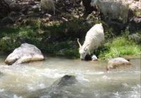 Risale Dersi 918: Kastamonu Lahikası 30 Risale Dersi 918: Kastamonu Lahikası 30