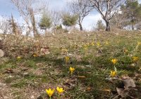 Risale Dersi 923: Kastamonu Lahikası 35 Risale Dersi 923: Kastamonu Lahikası 35