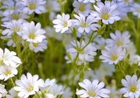 Risale Dersi 927: Kastamonu Lahikası 39 Risale Dersi 927: Kastamonu Lahikası 39