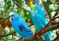 Risale Dersi 928: Kastamonu Lahikası 40 Risale Dersi 928: Kastamonu Lahikası 40