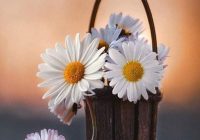 Risale Dersi 932: Kastamonu Lahikası 44 Risale Dersi 932: Kastamonu Lahikası 44