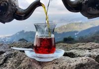 Risale Dersi 937: Kastamonu Lahikası 49 Risale Dersi 937: Kastamonu Lahikası 49