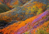 Risale Dersi 963: Kastamonu Lahikası 75 Risale Dersi 963: Kastamonu Lahikası 75