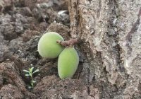 Risale Dersi 941: Kastamonu Lahikası 53 Risale Dersi 941: Kastamonu Lahikası 53