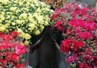 Risale Dersi 943: Kastamonu Lahikası 55 Risale Dersi 943: Kastamonu Lahikası 55