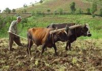 Risale Dersi 944: Kastamonu Lahikası 56 Risale Dersi 944: Kastamonu Lahikası 56