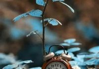 Risale Dersi 964: Kastamonu Lahikası 76 Risale Dersi 964: Kastamonu Lahikası 76