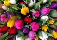 Risale Dersi 967: Kastamonu Lahikası 79 Risale Dersi 967: Kastamonu Lahikası 79