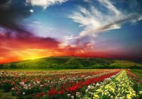 Risale Dersi 969: Kastamonu Lahikası 81 Risale Dersi 969: Kastamonu Lahikası 81