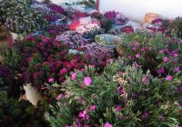 Risale Dersi 975: Kastamonu Lahikası 87 Risale Dersi 975: Kastamonu Lahikası 87