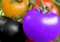 Risale Dersi 973: Kastamonu Lahikası 85 Risale Dersi 973: Kastamonu Lahikası 85