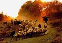 Risale Dersi 974: Kastamonu Lahikası 86 Risale Dersi 974: Kastamonu Lahikası 86