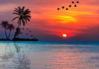 Risale Dersi 977: Kastamonu Lahikası 89 Risale Dersi 977: Kastamonu Lahikası 89