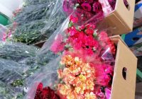 Risale Dersi 978: Kastamonu Lahikası 90 Risale Dersi 978: Kastamonu Lahikası 90