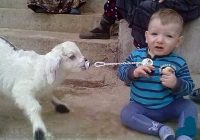 Risale Dersi 979: Kastamonu Lahikası 91 Risale Dersi 979: Kastamonu Lahikası 91