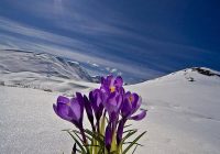 Risale Dersi 980: Kastamonu Lahikası 92 Risale Dersi 980: Kastamonu Lahikası 92