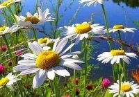 Risale Dersi 986: Kastamonu Lahikası 98 Risale Dersi 986: Kastamonu Lahikası 98