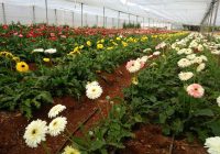 Risale Dersi 1013: Mesnevi-i Nuriye 24 (4k) Risale Dersi 1013: Mesnevi-i Nuriye 24 (4k)