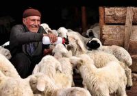 Risale Dersi 1016: Mesnevi-i Nuriye 27 (4k) Risale Dersi 1016: Mesnevi-i Nuriye 27 (4k)