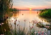 Risale Dersi 1019: Mesnevi-i Nuriye 30 (4k) Risale Dersi 1019: Mesnevi-i Nuriye 30 (4k)