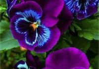 Risale Dersi 1021: Mesnevi-i Nuriye 32 (4k) Risale Dersi 1021: Mesnevi-i Nuriye 32 (4k)