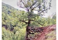 Risale Dersi 1023: Mesnevi-i Nuriye 34 (4k) Risale Dersi 1023: Mesnevi-i Nuriye 34 (4k)