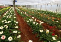 Risale Dersi 1001: Mesnevi-i Nuriye 12 (4k) Risale Dersi 1001: Mesnevi-i Nuriye 12 (4k)