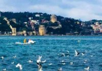 Risale Dersi 1003: Mesnevi-i Nuriye 14 (4k) Risale Dersi 1003: Mesnevi-i Nuriye 14 (4k)