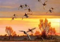 Risale Dersi 1004: Mesnevi-i Nuriye 15 (4k) Risale Dersi 1004: Mesnevi-i Nuriye 15 (4k)