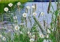 Risale Dersi 1006: Mesnevi-i Nuriye 17 (4k) Risale Dersi 1006: Mesnevi-i Nuriye 17 (4k)