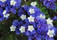 Risale Dersi 1008: Mesnevi-i Nuriye 19 (4k) Risale Dersi 1008: Mesnevi-i Nuriye 19 (4k)