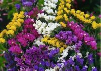 Risale Dersi 1009: Mesnevi-i Nuriye 20 (4k) Risale Dersi 1009: Mesnevi-i Nuriye 20 (4k)