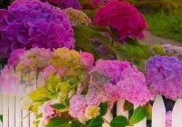 Risale Dersi 1010: Mesnevi-i Nuriye 21 (4k) Risale Dersi 1010: Mesnevi-i Nuriye 21 (4k)