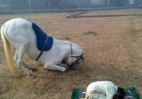 Risale Dersi 1049: Mesnevi-i Nuriye 60 (4k) Risale Dersi 1049: Mesnevi-i Nuriye 60 (4k)