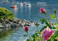 Risale Dersi 1052: Mesnevi-i Nuriye 63 (4k) Risale Dersi 1052: Mesnevi-i Nuriye 63 (4k)