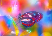 Risale Dersi 1053: Mesnevi-i Nuriye 64 (4k) Risale Dersi 1053: Mesnevi-i Nuriye 64 (4k)