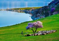 Risale Dersi 1054: Mesnevi-i Nuriye 65 (4k) Risale Dersi 1054: Mesnevi-i Nuriye 65 (4k)