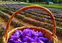 Risale Dersi 1058: Mesnevi-i Nuriye 69 (4k) Risale Dersi 1058: Mesnevi-i Nuriye 69 (4k)