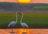 Risale Dersi 1060: Mesnevi-i Nuriye 71 (4k) Risale Dersi 1060: Mesnevi-i Nuriye 71 (4k)