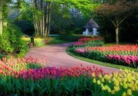 Risale Dersi 1062: Mesnevi-i Nuriye 73 (4k) Risale Dersi 1062: Mesnevi-i Nuriye 73 (4k)