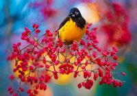 Risale Dersi 1063: Mesnevi-i nuriye 74 (4k) Risale Dersi 1063: Mesnevi-i nuriye 74 (4k)