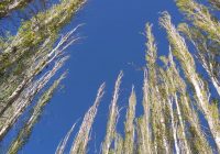 Risale Dersi 1067: Mesnevi-i Nuriye 78 (4k) Risale Dersi 1067: Mesnevi-i Nuriye 78 (4k)