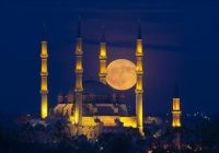 Risale Dersi 1070: Mesnevi-i Nuriye 81 (4k) Risale Dersi 1070: Mesnevi-i Nuriye 81 (4k)