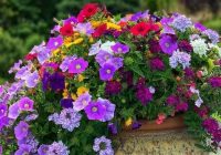 Risale Dersi 1071: Mesnevi-i Nuriye 82 (4k) Risale Dersi 1071: Mesnevi-i Nuriye 82 (4k)