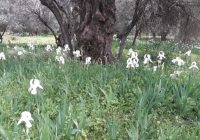 Risale Dersi 1088: Mesnevi-i Nuriye 99 (4k) Risale Dersi 1088: Mesnevi-i Nuriye 99 (4k)