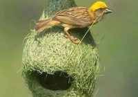 Risale Dersi 1090: Mesnevi-i Nuriye 101 (4k) Risale Dersi 1090: Mesnevi-i Nuriye 101 (4k)