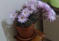 Risale Dersi 1094: Mesnevi-i Nuriye 105 (4k) Risale Dersi 1094: Mesnevi-i Nuriye 105 (4k)